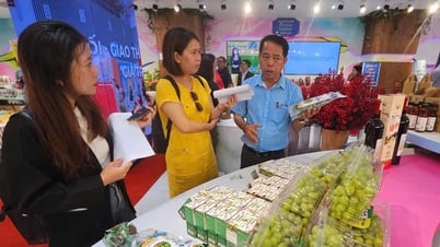 Ninh Thuận mang đặc sản đến TP.HCM 'chào hàng', tìm kiếm đối tác