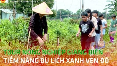 Tour nông nghiệp Giang Biên - Tiềm năng du lịch xanh ven đô