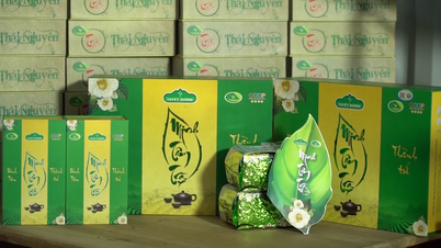 Mã vạch trên các sản phẩm chè Thái Nguyên