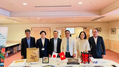 Quang Nam - Da Nang promotes culture and tourism in Japan