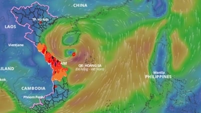 Último pronóstico de las zonas afectadas por la tormenta nº 1