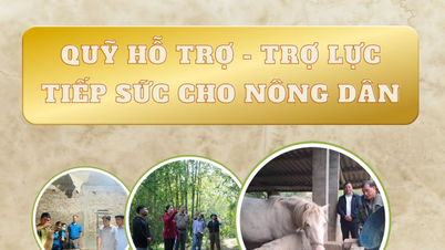 ការគាំទ្រកសិករ - ផ្នែកទី 1: ការគាំទ្រទាន់ពេលវេលា - កសិករកើនឡើងជាលំដាប់