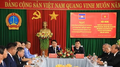 Tăng cường hợp tác quốc tế giữa Tòa án Đắk Nông và Mondulkiri