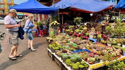 Sa Pa Market - a cultural mosaic in the heart of the misty highlands