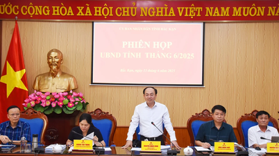UBND tỉnh Bắc Kạn tổ chức Phiên họp tháng 6/2025