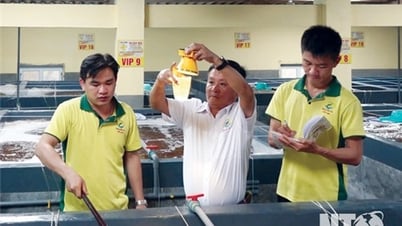 Ngành thủy sản hướng đến phát triển bền vững