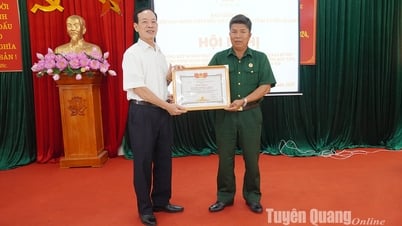 Strengthening care and protection of rights of victims of Agent Orange/dioxin