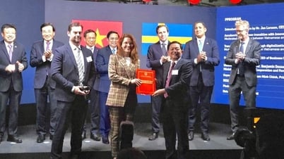 Bình Định trao giấy chứng nhận đăng ký đầu cho dự án vốn FDI 1 tỷ USD