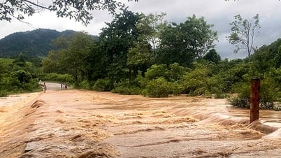 Mehr als 7.400 Hektar Reisfelder und andere Felder wurden durch starke Regenfälle überflutet