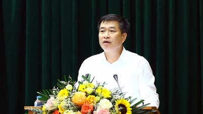 バクザン省党委員会の検査委員会は、検査と監督を通じてよくある違反行為に関するワークショップを開催した。