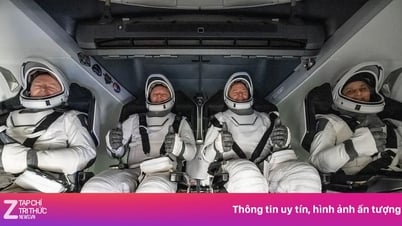 Was ist in einer zweiwöchigen Weltraumtour für 70 Millionen Dollar enthalten?