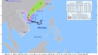 Bão số 1 giật cấp 13 trên vùng biển của đảo Hải Nam (Trung Quốc), Hải Dương có mưa rào rải rác