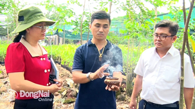 អភិវឌ្ឍផលិតផលពីពូជរុក្ខជាតិថ្មី។