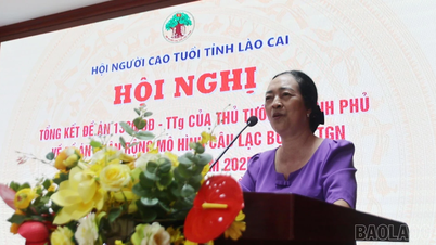 Tiếp tục thực hiện tốt hơn quyền và lợi ích của người cao tuổi