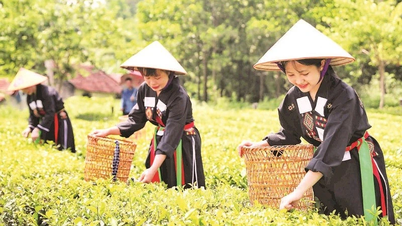 ដំណើរដើមតែ Ban Ven