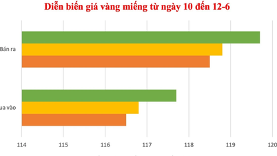 Continuing the upward trend, gold price on June 12 approached the 120 million VND/tael mark.