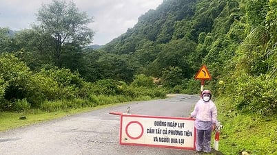 Auf Sturm Nr. 1 proaktiv reagieren nach dem Motto „4 vor Ort“