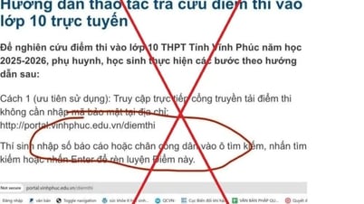 Thí sinh cần cảnh giác với tin giả khi tra cứu điểm thi lớp 10