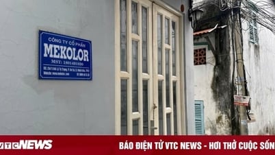 Chuyên gia: Không tin liên doanh chi 100 tỷ USD làm đường sắt cao tốc Bắc - Nam 