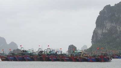 ខេត្ត Quang Ninh ប្រឈមមុខនឹងការវិវឌ្ឍន៍ដ៏ស្មុគស្មាញនៃព្យុះលេខ ១