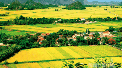 Hoạch định chính sách cho kinh tế nông thôn tỉnh Ninh Bình trong giai đoạn mới