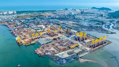 Đảng bộ PTSC: Kiến tạo giá trị, dẫn dắt chiến lược, hội nhập toàn cầu
