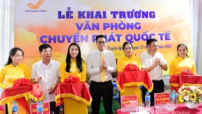 Bưu điện tỉnh khai trương Văn phòng chuyển phát quốc tế