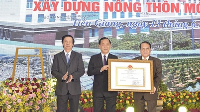 Tien Giang ប្រមូលថវិកាជាង 167.000 ពាន់លានដុង ដើម្បីសម្រេចបានខ្សែបន្ទាត់ជនបទថ្មីក្នុងខេត្តទាំងមូល