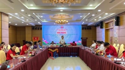 Hội Chữ thập đỏ tỉnh triển khai nhiệm vụ công tác 6 tháng cuối năm 2025