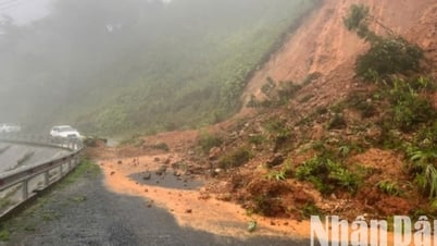 Bão số 1 gây nhiều thiệt hại tại Quảng Trị