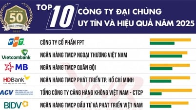 FPT dẫn đầu Top 50 công ty đại chúng uy tín nhất Việt Nam 2025