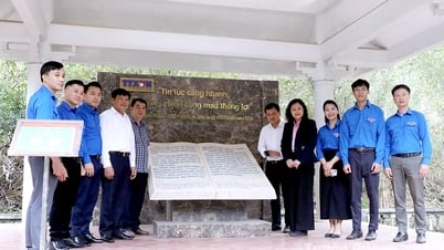 បន្តប្រពៃណី ឈរយ៉ាងម៉ឺងម៉ាត់លើផ្នែកព័ត៌មាន