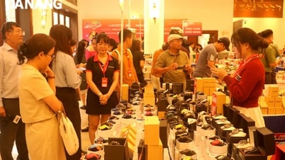 More than 300 domestic and international brands participate in Mega Sale Da Nang 2025