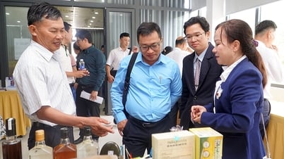 Kết nối giao thương sản phẩm công nghiệp nông thôn