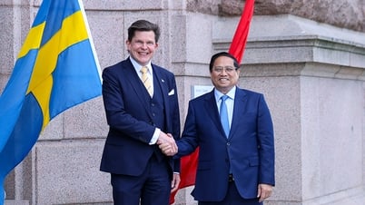 Sweden is ready to support Vietnam to become a high-income developed country.