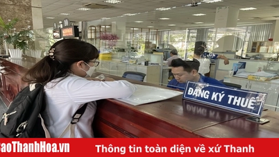 Các Nghị định quy định về phân quyền, phân cấp của chính quyền địa phương 2 cấp
