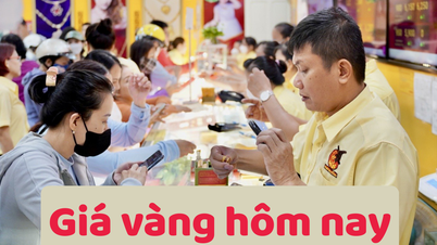 Giá vàng hôm nay 13/6/2025: Vàng trong nước tăng cao hơn vàng thế giới 8 triệu đồng