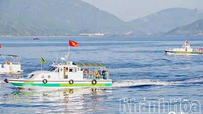 Miss Universe Vietnam 2025 Event: Gewährleistung der Sicherheit beim Bringen und Abholen von Gästen zur Insel Tri Nguyen