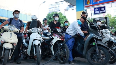 Forecast of gasoline prices in the operating period this afternoon