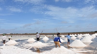 Huyện Đông Hải: Tiếp tục thi đua phát triển kinh tế biển