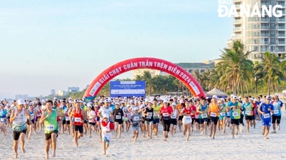 'Barefoot Beach Run 2025' opens free registration link