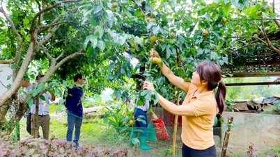 Giảm nghèo bền vững từ cách làm hay, hướng đi đúng