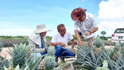 Huyện Krông Bông: Nhiều hợp tác xã hoạt động cầm chừng