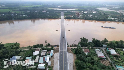 Chính phủ giao Bộ Tài chính chủ trì đề xuất phương án xử lý kiến nghị của tỉnh Bình Dương đối với dự án cầu kết nối tỉnh Đồng Nai