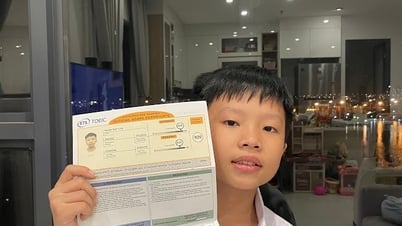Giám đốc 13 tuổi gây sốt, từng cày game cả hè, giờ được 6 công ty mời thực tập