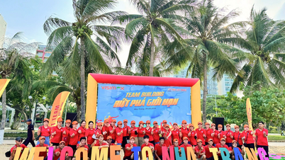 New Life Travel - Đơn vị tổ chức tour doanh nghiệp tại Khánh Hòa