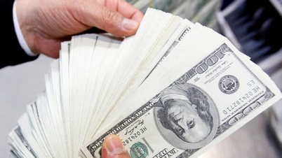 Tỷ giá USD hôm nay (13-6): Đồng USD tiếp tục ghi nhận đà...