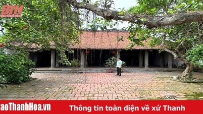 ទស្សនាប្រាសាទ Thiet Cuong