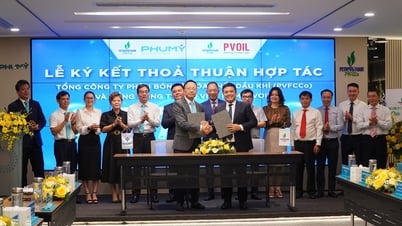 PVFCCo – Phu My and PVOIL sign strategic cooperation agreement, promoting trade and green transformation