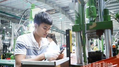 락손전자회사 노조: 조화롭고 안정적이며 진보적인 노동관계 구축